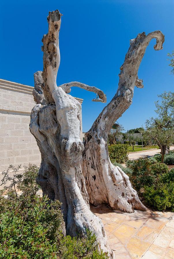 Masseria Torre Del Diamante Торре-Канне Экстерьер фото