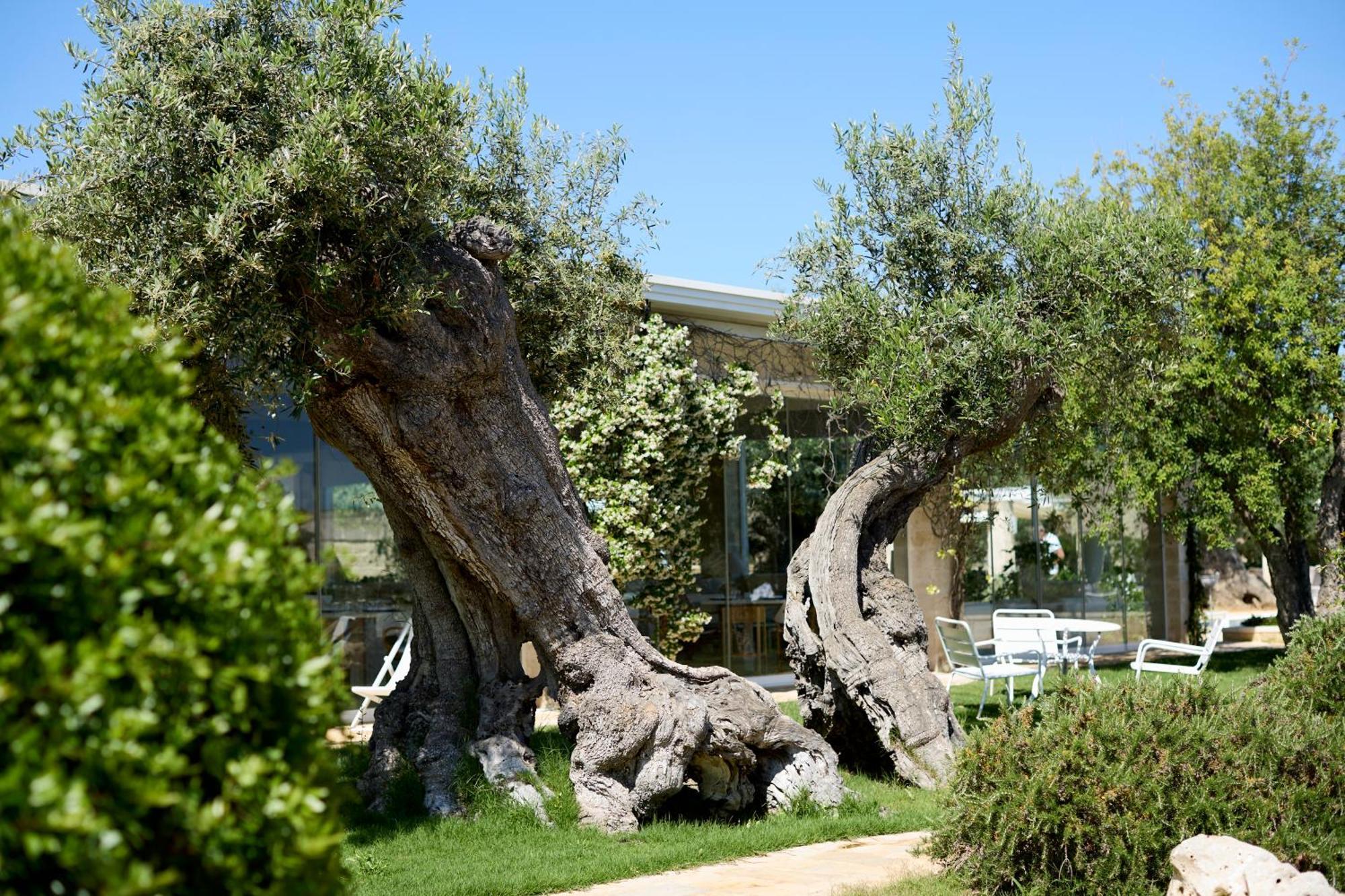 Masseria Torre Del Diamante Торре-Канне Экстерьер фото